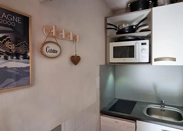 Cosy Avec Acces Direct Pistes, Vue Piste, Animaux Admis - Fr-1-181-2563 Lejlighed