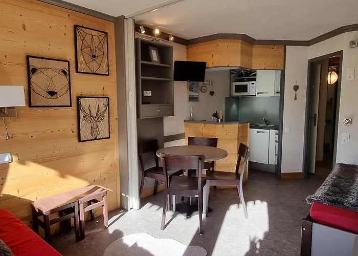 Cosy Avec Acces Direct Pistes, Vue Piste, Animaux Admis - Fr-1-181-2563 * La Plagne