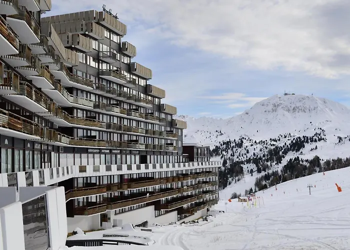 Cosy Avec Acces Direct Pistes, Vue Piste, Animaux Admis - Fr-1-181-2563 * La Plagne