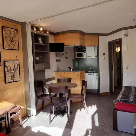 Cosy Avec Acces Direct Pistes, Vue Piste, Animaux Admis - Fr-1-181-2563 דירה