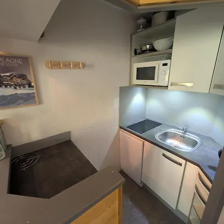 Cosy Avec Acces Direct Pistes, Vue Piste, Animaux Admis - Fr-1-181-2563